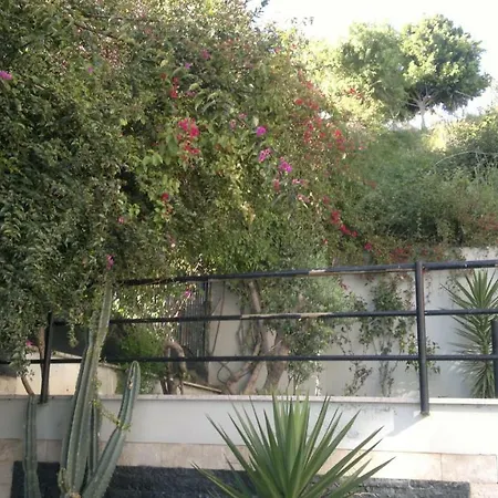 Küçük Hasbahçe Caddesi * Alanya